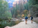 PICTURES/Sedona West Fork Fall Foliage/t_Deep In Canyon1.JPG